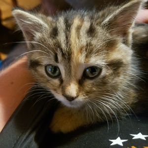 Meet your Posher, Kristina